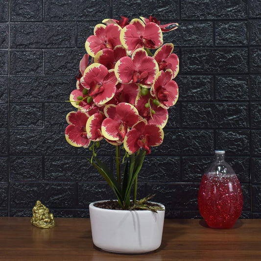 Orhidee cu aspect natural in ghiveci ceramic, 50 cm, Naimeed D4848, Rosu