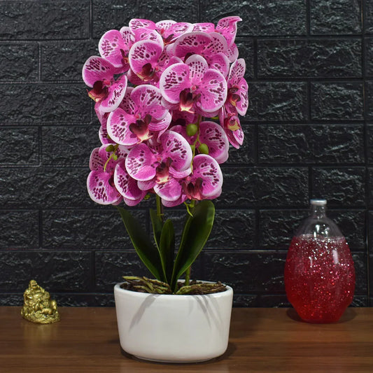 Orhidee cu aspect natural in ghiveci ceramic, 50 cm, Naimeed D4848, Roz - 221.ro