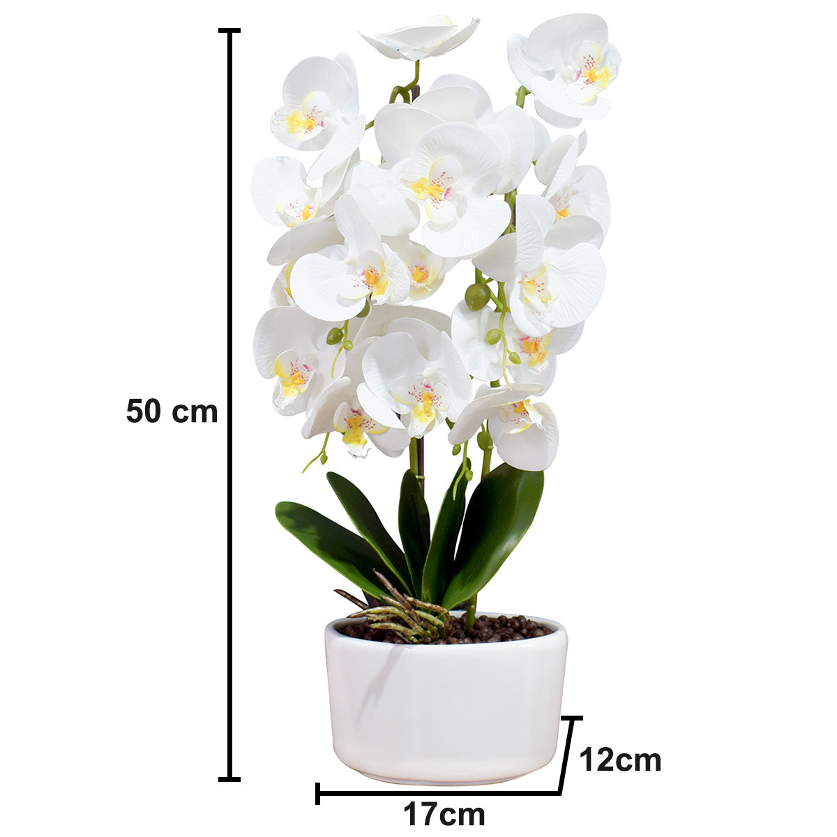 Orhidee cu aspect natural in ghiveci ceramic, 50 cm, Naimeed D4848, Alb