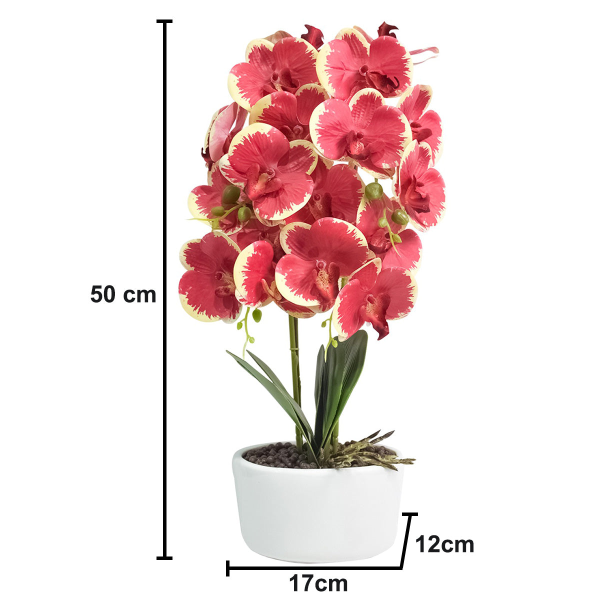 Orhidee cu aspect natural in ghiveci ceramic, 50 cm, Naimeed D4848, Rosu