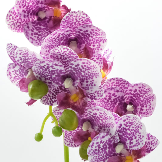 Orhidee cu aspect natural in ghiveci ceramic, 35 cm, Naimeed D4849, Magenta