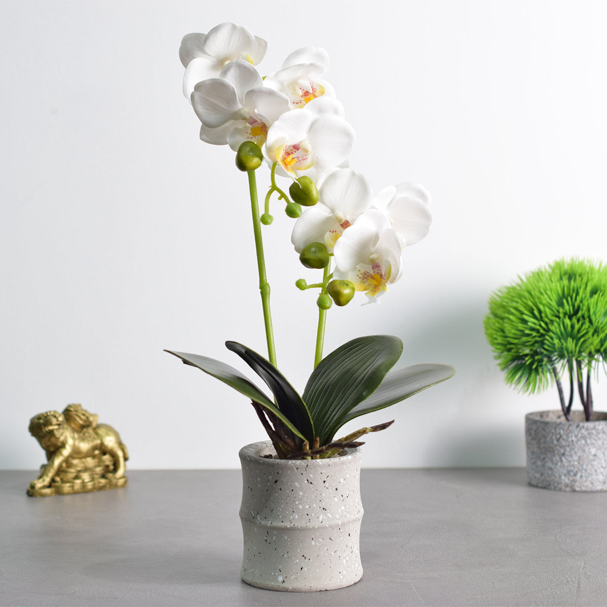 Orhidee cu aspect natural in ghiveci ceramic, 35 cm, Naimeed D4849, Alb