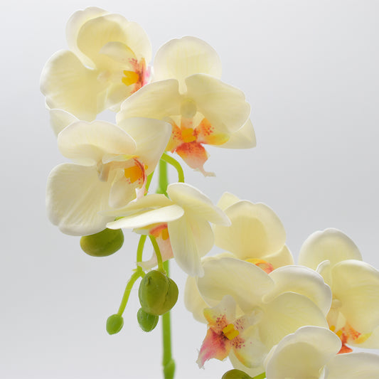 Orhidee cu aspect natural in ghiveci ceramic, 35 cm, Naimeed D4849, Galben