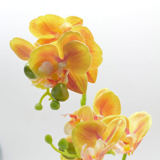 Orhidee cu aspect natural in ghiveci ceramic, 35 cm, Naimeed D4849, Portocaliu