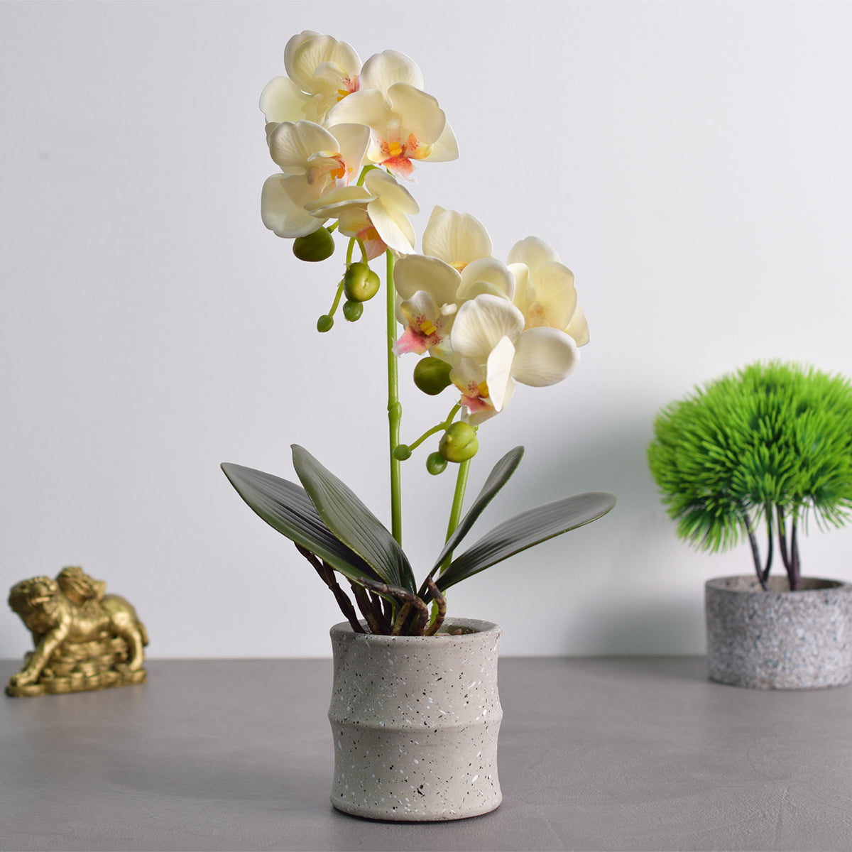 Orhidee cu aspect natural in ghiveci ceramic, 35 cm, Naimeed D4849, Galben