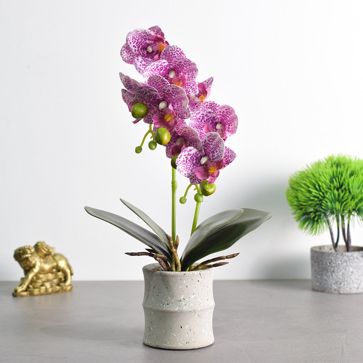 Orhidee cu aspect natural in ghiveci ceramic, 35 cm, Naimeed D4849, Magenta