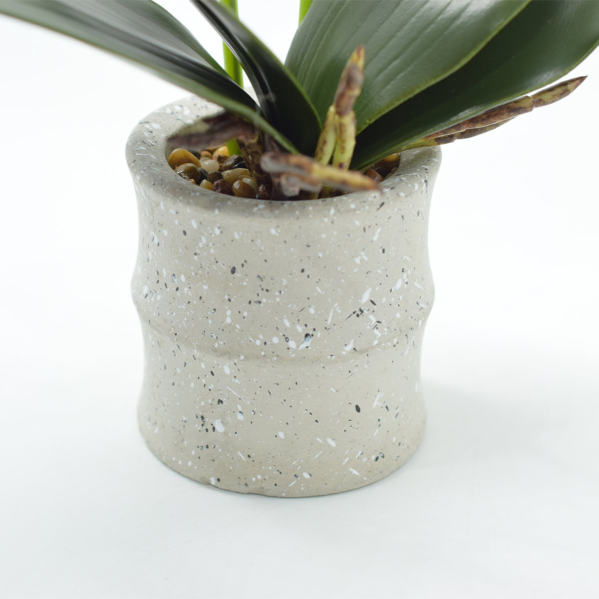 Orhidee cu aspect natural in ghiveci ceramic, 35 cm, Naimeed D4849, Alb