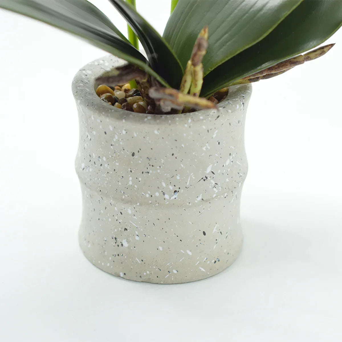 Orhidee cu aspect natural in ghiveci ceramic, 35 cm, Naimeed D4849, Alb - 221.ro
