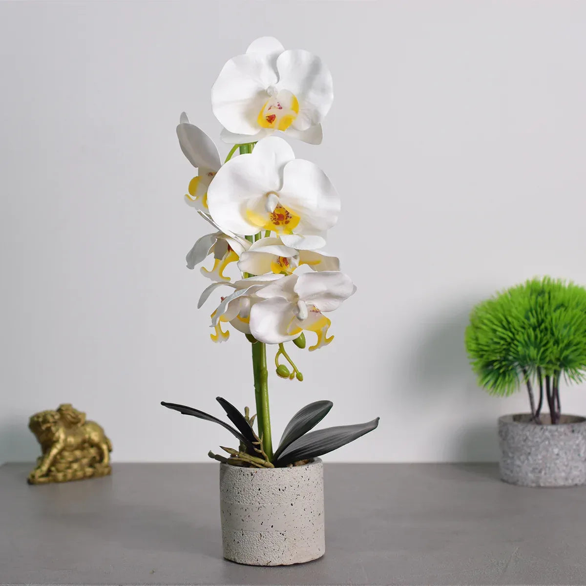 Orhidee cu aspect natural in ghiveci ceramic, 36 cm, Naimeed D4850, Alb - 221.ro