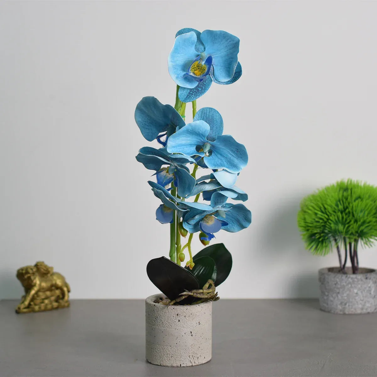 Orhidee cu aspect natural in ghiveci ceramic, 36 cm, Naimeed D4850, Albastru - 221.ro