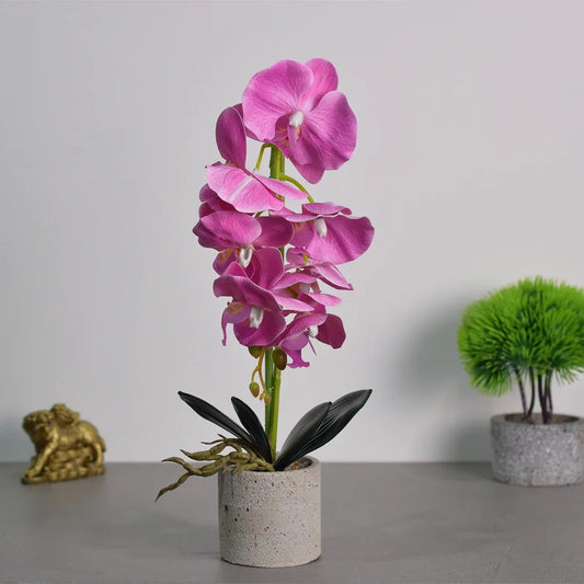 Orhidee cu aspect natural in ghiveci ceramic, 36 cm, Naimeed D4850, Magenta - 221.ro