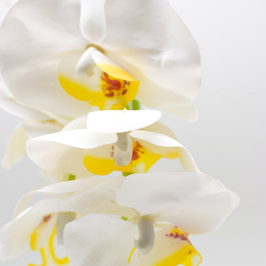 Orhidee cu aspect natural in ghiveci ceramic, 36 cm, Naimeed D4850, Alb