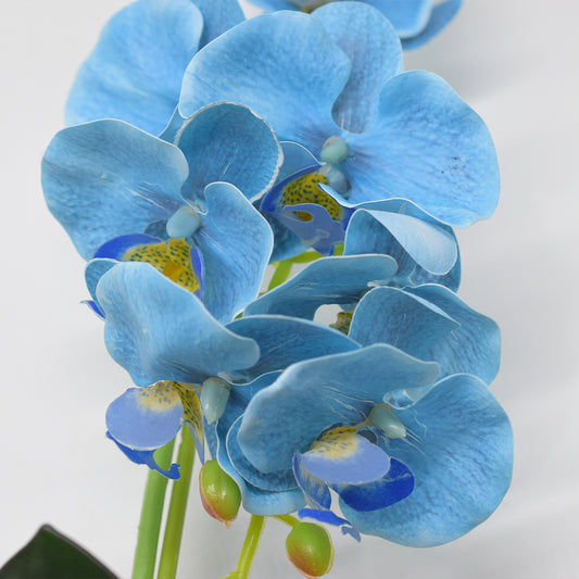 Orhidee cu aspect natural in ghiveci ceramic, 36 cm, Naimeed D4850, Albastru