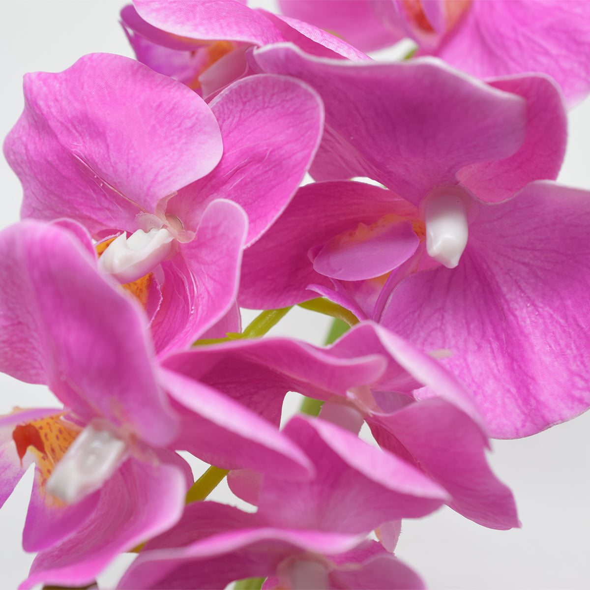 Orhidee cu aspect natural in ghiveci ceramic, 36 cm, Naimeed D4850, Magenta