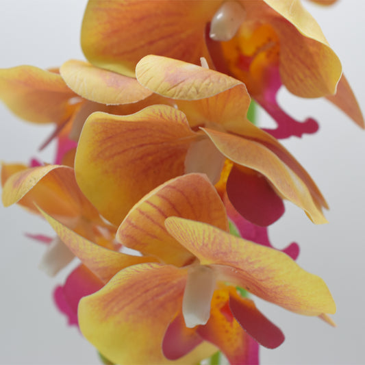 Orhidee cu aspect natural in ghiveci ceramic, 36 cm, Naimeed D4850, Portocaliu