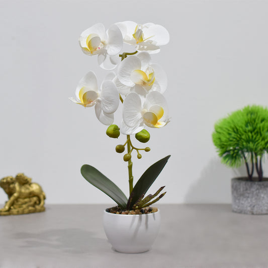 Orhidee cu aspect natural in ghiveci ceramic, 33 cm, Naimeed D4851, Alb