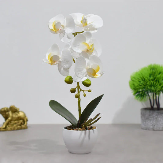 Orhidee cu aspect natural in ghiveci ceramic, 33 cm, Naimeed D4851, Alb - 221.ro