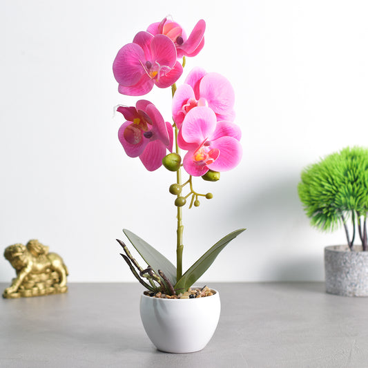 Orhidee cu aspect natural in ghiveci ceramic, 33 cm, Naimeed D4851, Magenta