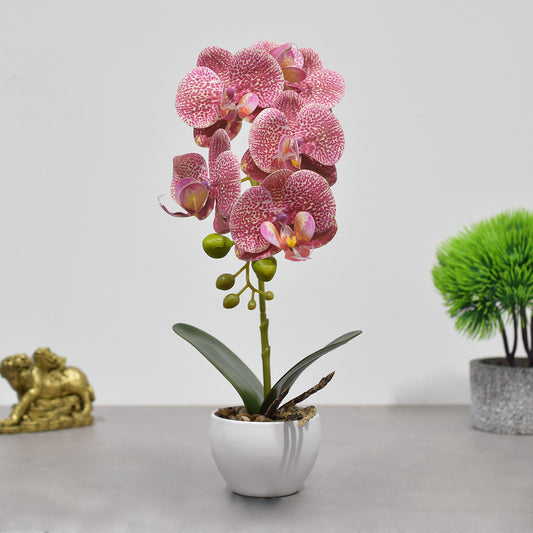 Orhidee cu aspect natural in ghiveci ceramic, 33 cm, Naimeed D4851, RozGalben