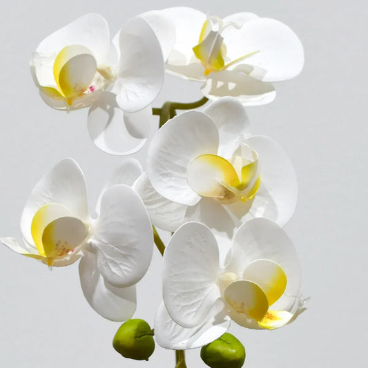 Orhidee cu aspect natural in ghiveci ceramic, 35 cm, Naimeed D4849, Alb - 221.ro