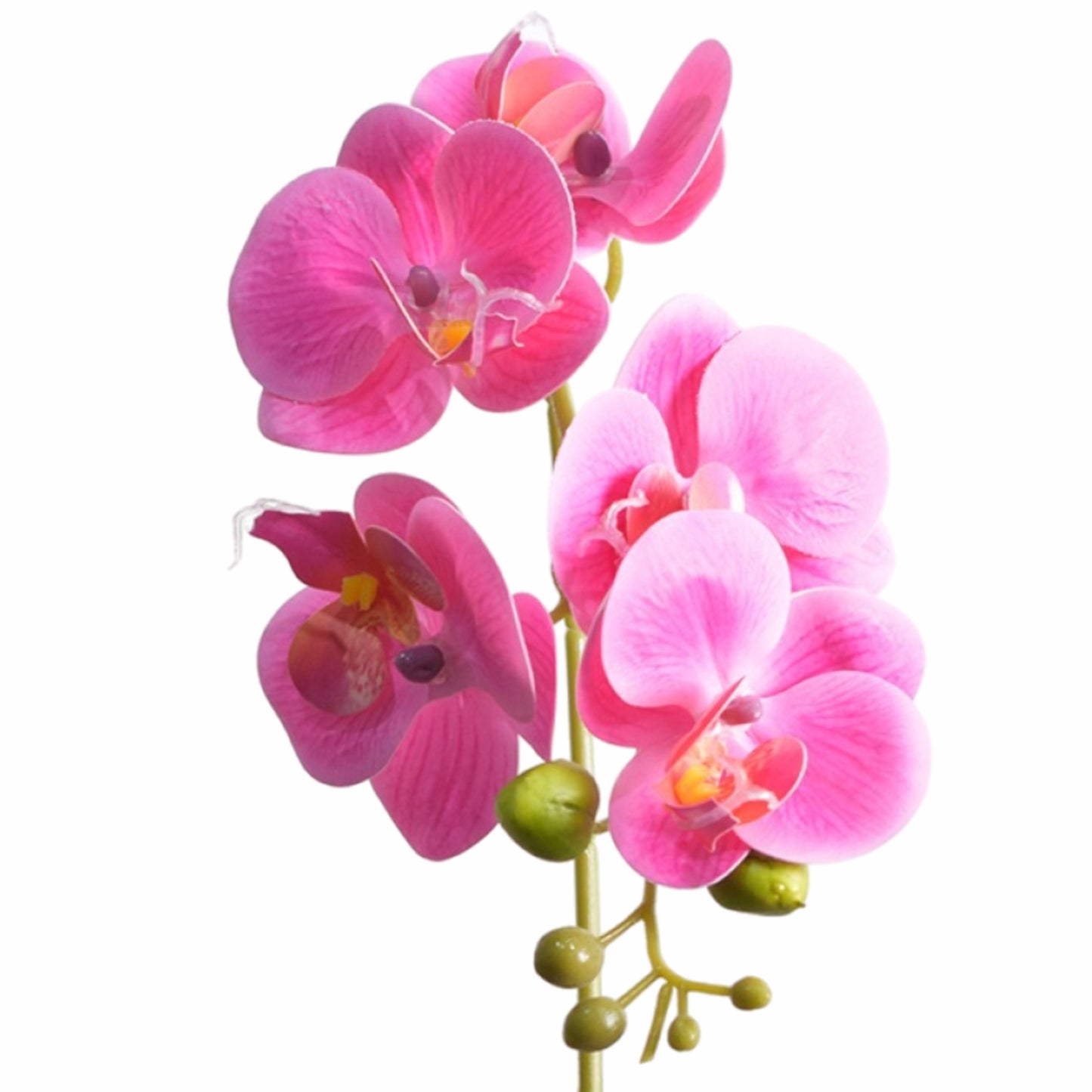 Orhidee cu aspect natural in ghiveci ceramic, 33 cm, Naimeed D4851, Magenta