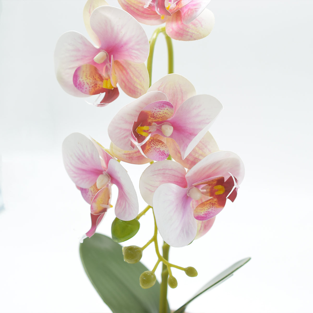 Orhidee cu aspect natural in ghiveci ceramic, 33 cm, Naimeed D4851, Roz