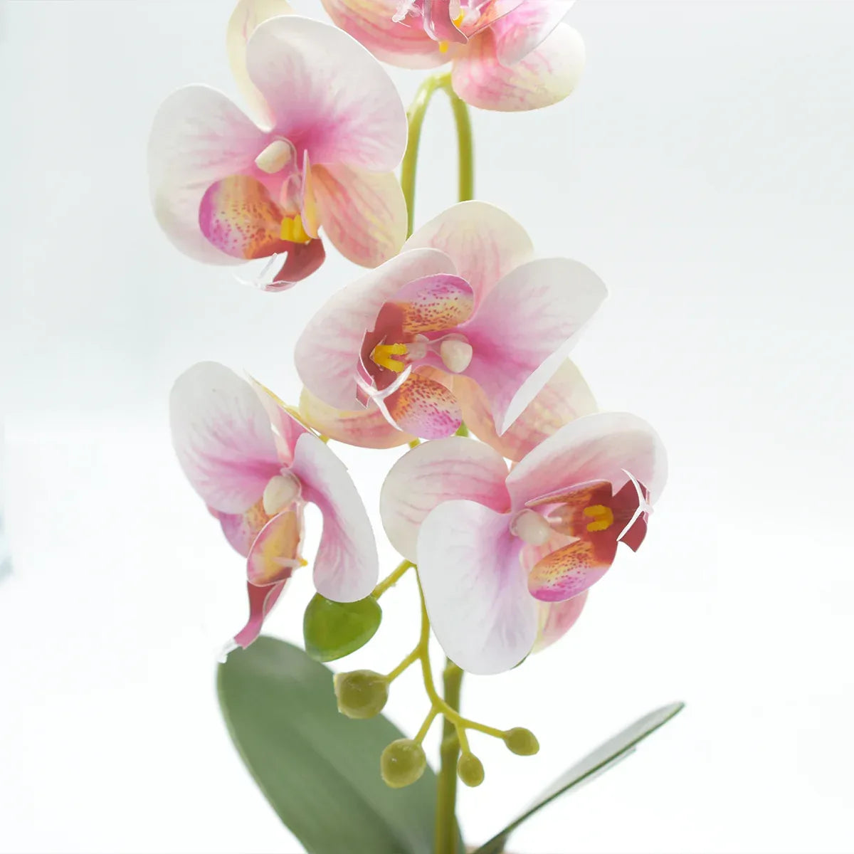 Orhidee cu aspect natural in ghiveci ceramic, 33 cm, Naimeed D4851, Roz - 221.ro