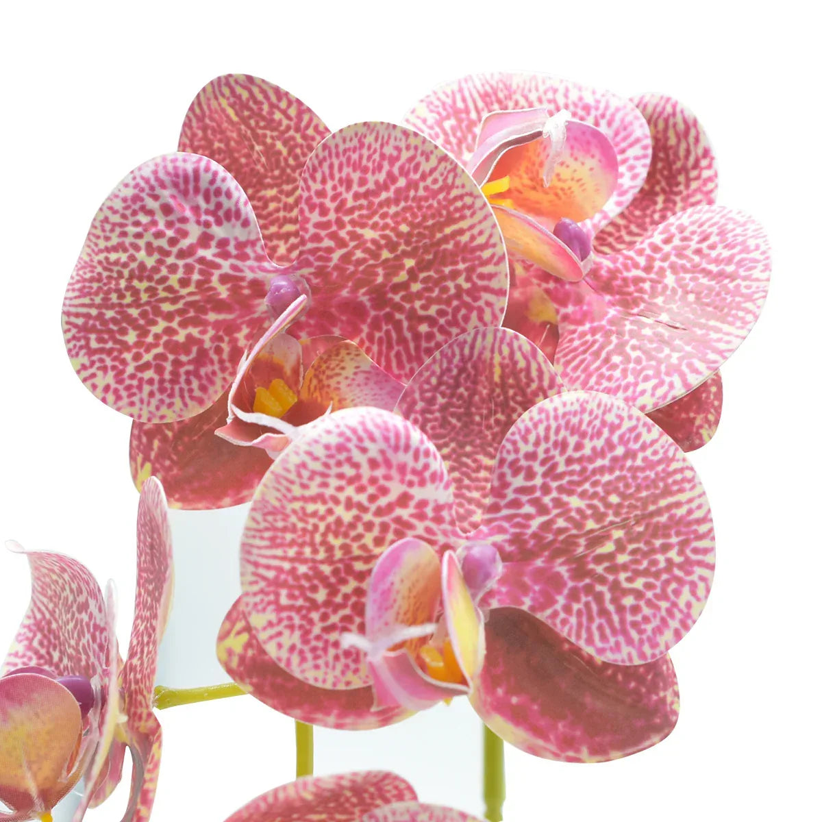 Orhidee cu aspect natural in ghiveci ceramic, 33 cm, Naimeed D4851, RozGalben - 221.ro