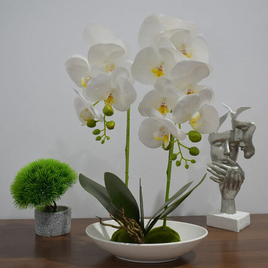 Orhidee cu aspect natural in ghiveci ceramic, 49 cm, Naimeed D4852, Alb - 221.ro