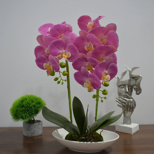Orhidee cu aspect natural in ghiveci ceramic, 49 cm, Naimeed D4852, Magenta - 221.ro