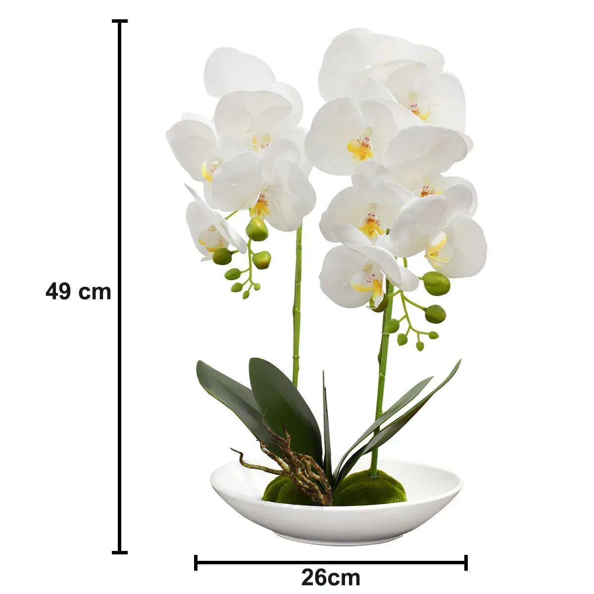 Orhidee cu aspect natural in ghiveci ceramic, 49 cm, Naimeed D4852, Alb - 221.ro
