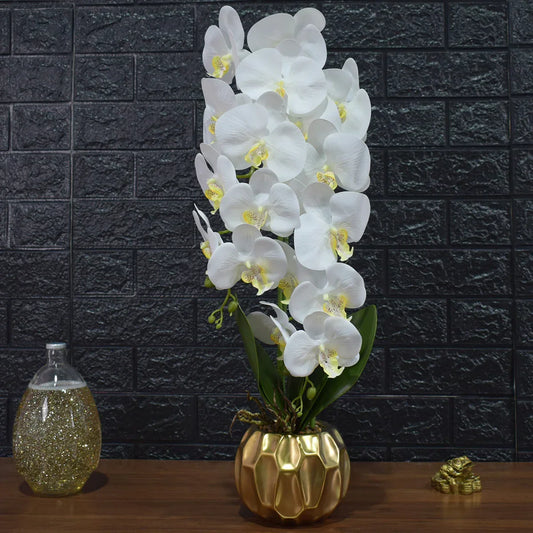 Orhidee cu aspect natural in ghiveci ceramic, 60 cm, Naimeed D4854, Alb