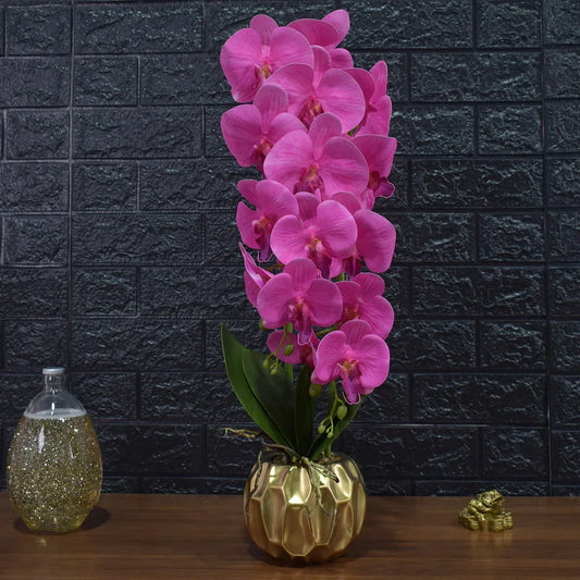 Orhidee cu aspect natural in ghiveci ceramic, 60 cm, Naimeed D4854, Roz - 221.ro
