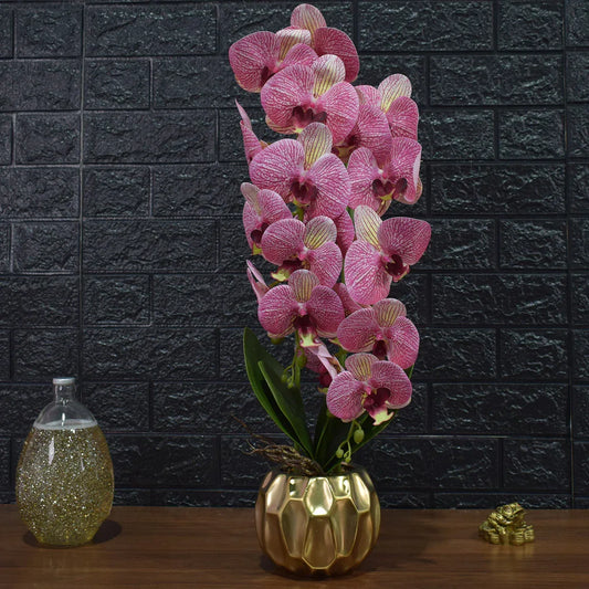 Orhidee cu aspect natural in ghiveci ceramic, 60 cm, Naimeed D4854, RozGalben - 221.ro