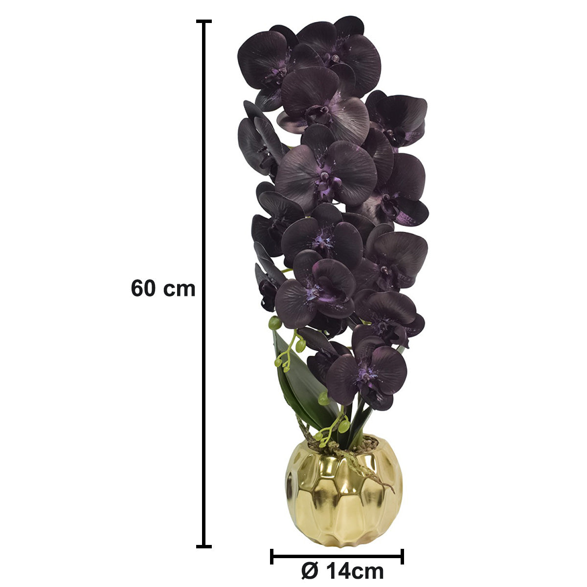 Orhidee cu aspect natural in ghiveci ceramic, 60 cm, Naimeed D4854, Mov