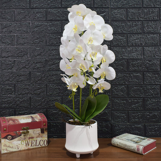 Orhidee cu aspect natural in ghiveci ceramic, 70 cm, Naimeed D4855, Alb