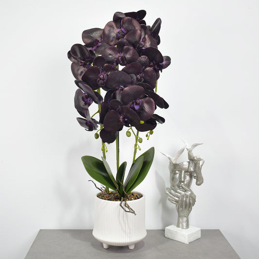 Orhidee cu aspect natural in ghiveci ceramic, 70 cm, Naimeed D4855, Mov - 221.ro