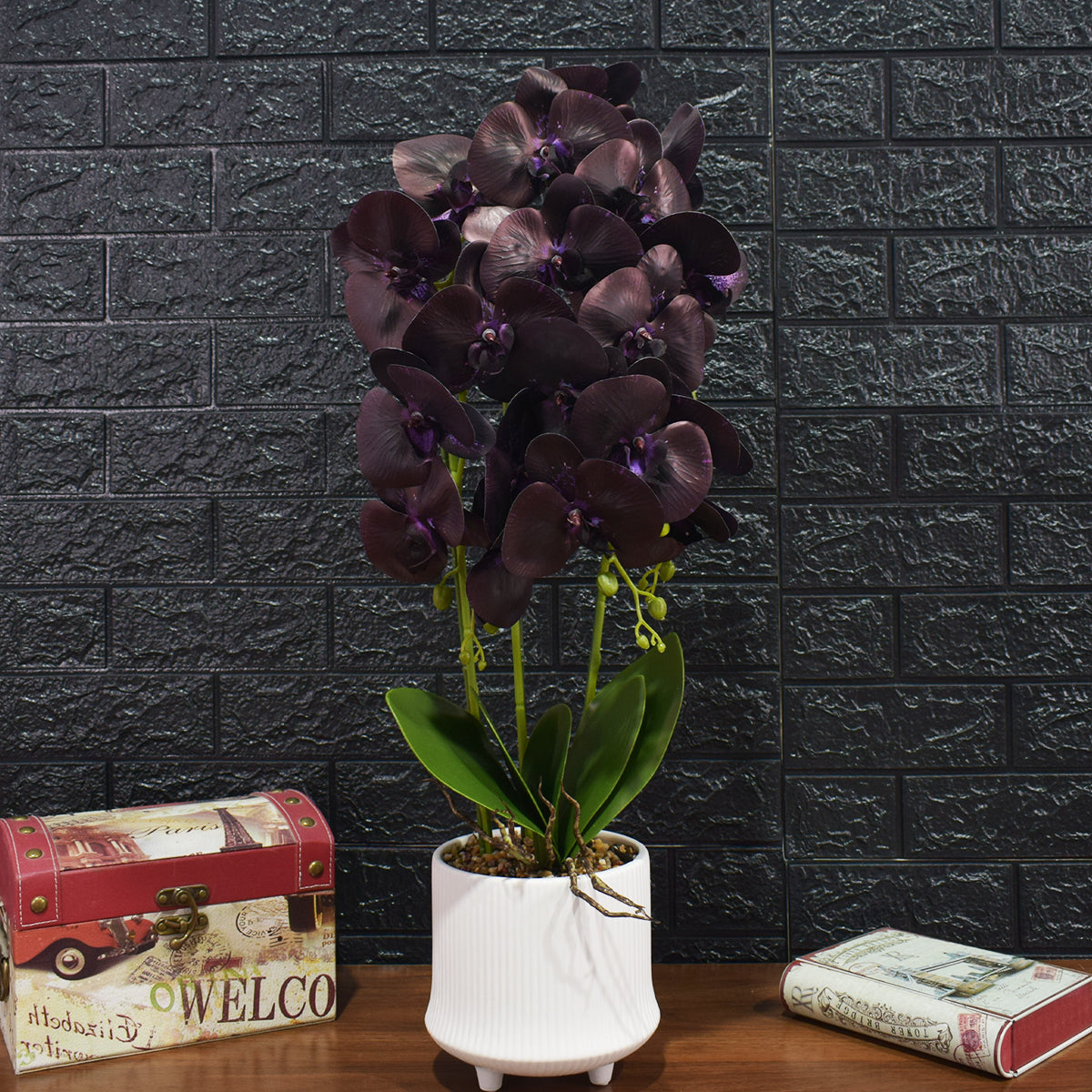 Orhidee cu aspect natural in ghiveci ceramic, 70 cm, Naimeed D4855, Mov