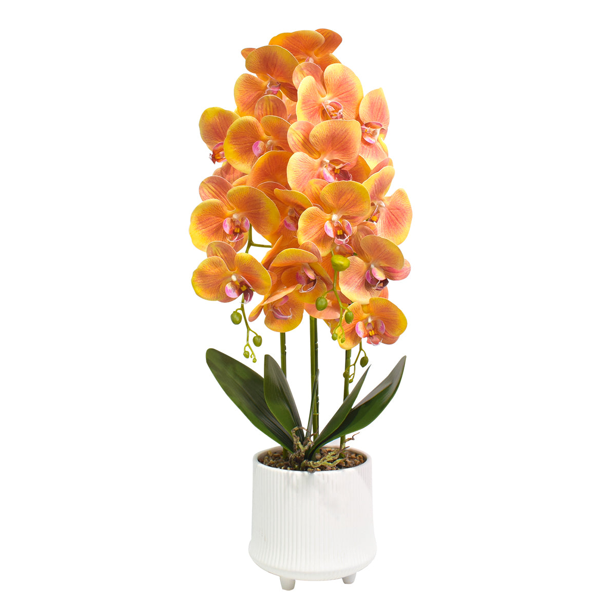 Orhidee cu aspect natural in ghiveci ceramic, 70 cm, Naimeed D4855, Portocaliu
