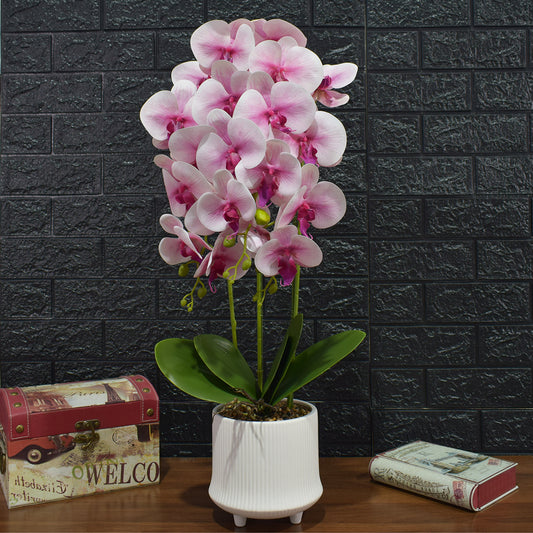 Orhidee cu aspect natural in ghiveci ceramic, 70 cm, Naimeed D4855, Roz