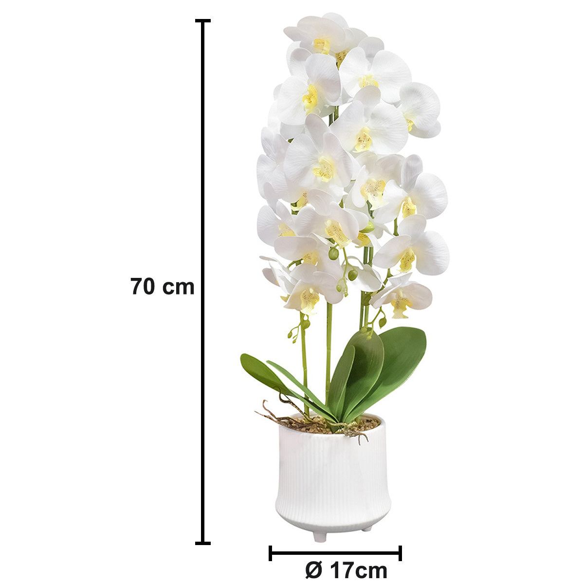 Orhidee cu aspect natural in ghiveci ceramic, 70 cm, Naimeed D4855, Alb