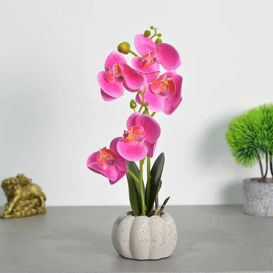Orhidee cu aspect natural in ghiveci ceramic, 30 cm, Naimeed D4856, Magenta - 221.ro