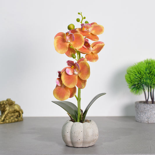 Orhidee cu aspect natural in ghiveci ceramic, 30 cm, Naimeed D4856, Portocaliu