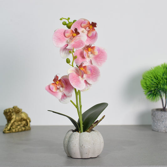 Orhidee cu aspect natural in ghiveci ceramic, 30 cm, Naimeed D4856, Roz