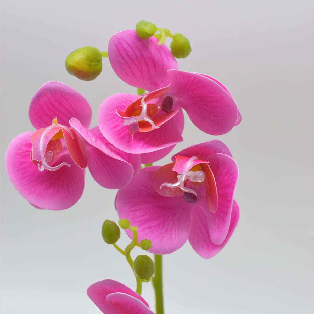 Orhidee cu aspect natural in ghiveci ceramic, 30 cm, Naimeed D4856, Magenta
