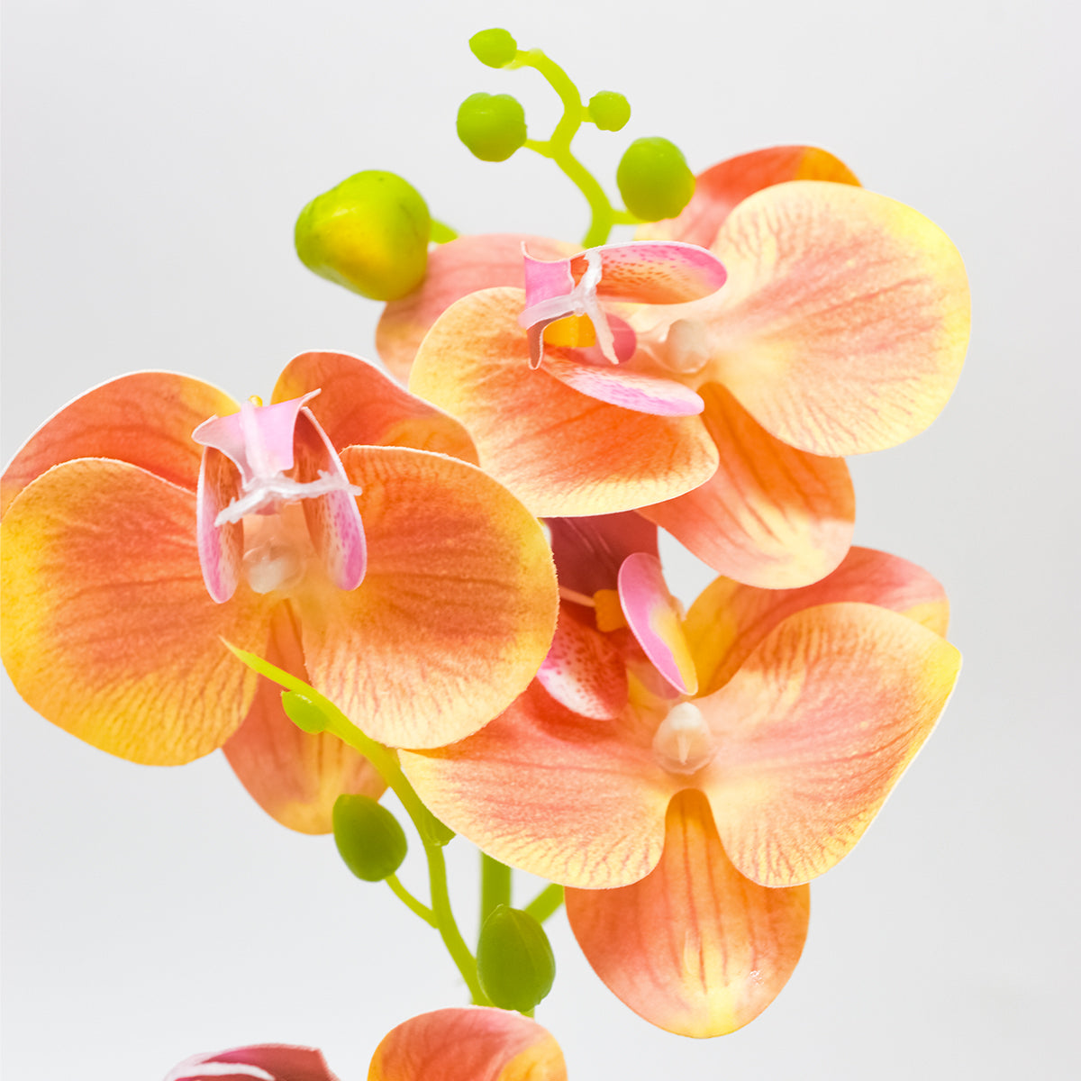 Orhidee cu aspect natural in ghiveci ceramic, 30 cm, Naimeed D4856, Portocaliu