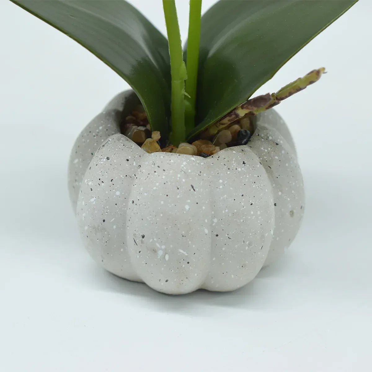 Orhidee cu aspect natural in ghiveci ceramic, 30 cm, Naimeed D4856, Portocaliu - 221.ro