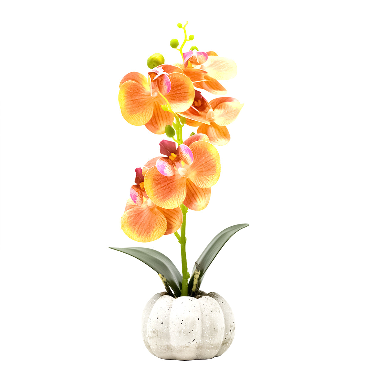 Orhidee cu aspect natural in ghiveci ceramic, 30 cm, Naimeed D4856, Portocaliu
