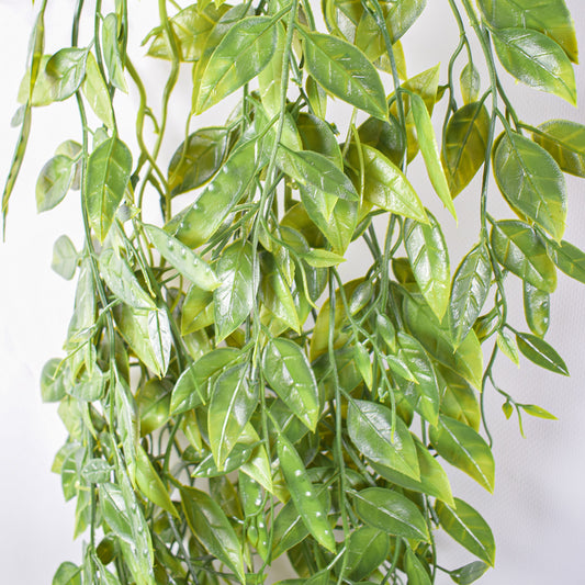 Planta artificiala curgatoare, inaltime 100cm, Naimeed D4860, Verde