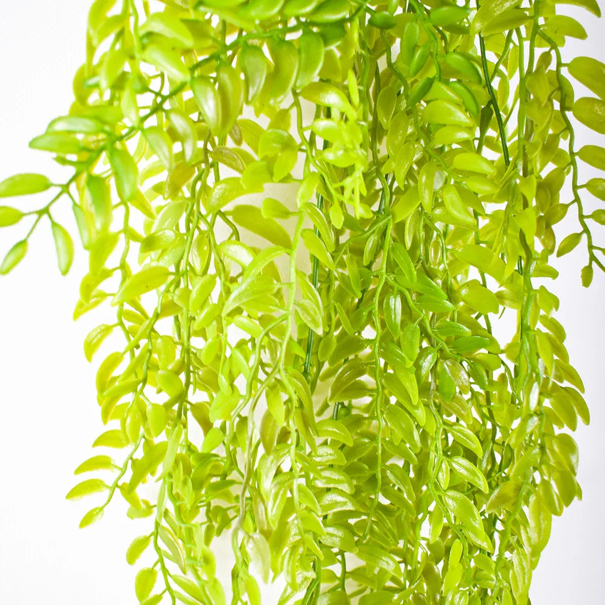 Planta artificiala curgatoare, inaltime 100cm, Naimeed D4864, Verde Deschis - 221.ro